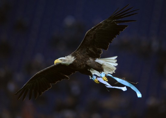 挑战赛三把输了战力还加吗   挑战赛三把输了战力还加吗